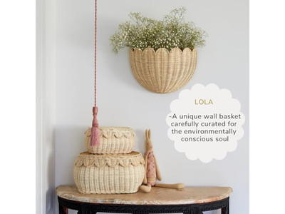 ديكور غرفة طبيعي جمالي للأغراض الصغيرة على الرف للمعيشة البيضاء