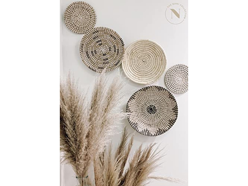 ديكور حائط بمجداف مطلي وديكور القرع بنبات الياقوتية المائية