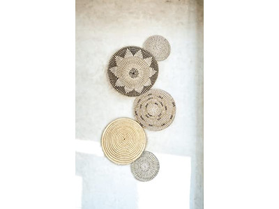 ديكور حائط بمجداف مطلي وديكور القرع بنبات الياقوتية المائية