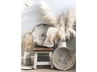 ديكور حائط بمجداف مطلي وديكور القرع بنبات الياقوتية المائية